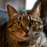 IMG_4963 - Version 2